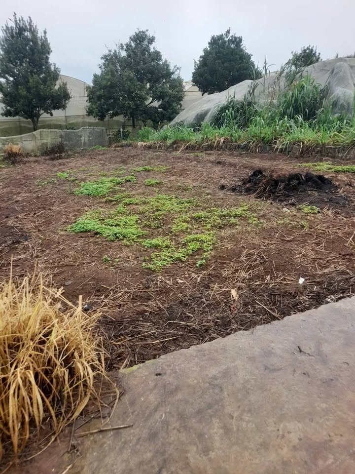 Đất nền Nam Ban Lâm Hà 260m² giá 1.4 tỷ - Cơ hội đầu tư hấp dẫn!