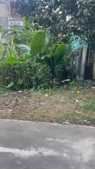 Đất nền chính chủ tại Tây Sơn, Tam Điệp 100m² chỉ 2 tỷ - Gần mọi tiện ích!