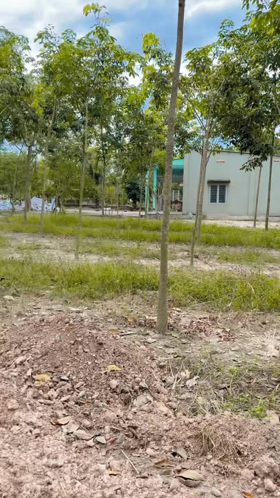 Đất nền Lai Uyên Bàu Bàng 200m² giá 810 triệu - Đường mở rộng đẹp