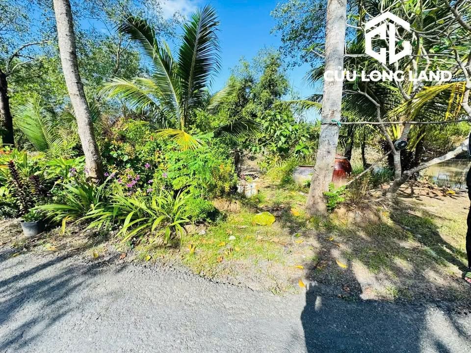 Đất nền KDC Hoá Thành Vĩnh Long 100m² giá 599 triệu - Đầu tư sinh lời ngay!