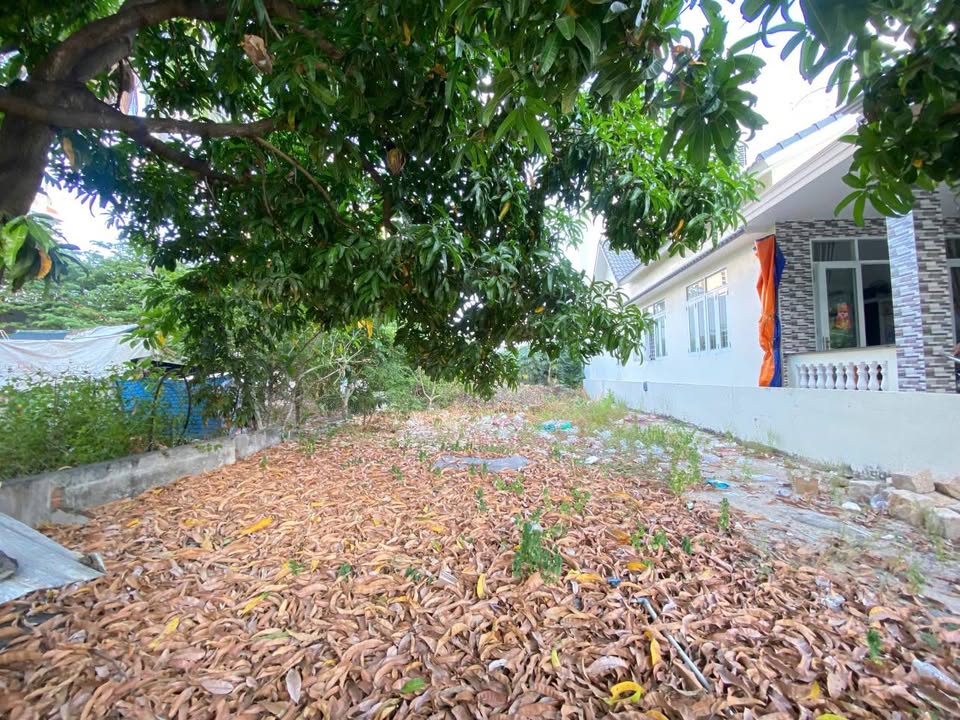 Đất nền mặt tiền Thân Nhân Trung, Nha Trang 247m² giá 23.5 tỷ - Đầu tư sinh lời hấp dẫn!