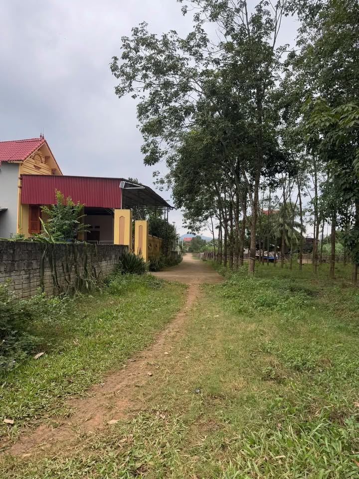 Đất Thạch Sơn, Thạch Thành 700m² giá chỉ 300 triệu - Chia lô cực dễ!