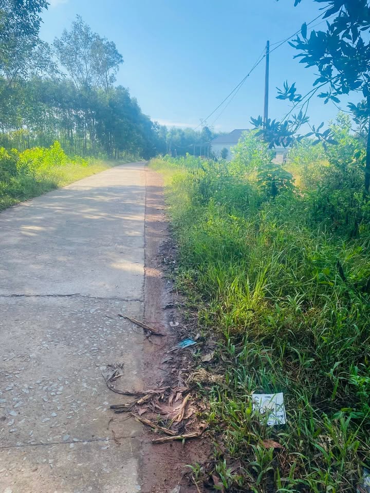 Đất nền Phong Thái 153m² giá chỉ 300 triệu - Cơ hội đầu tư hấp dẫn!