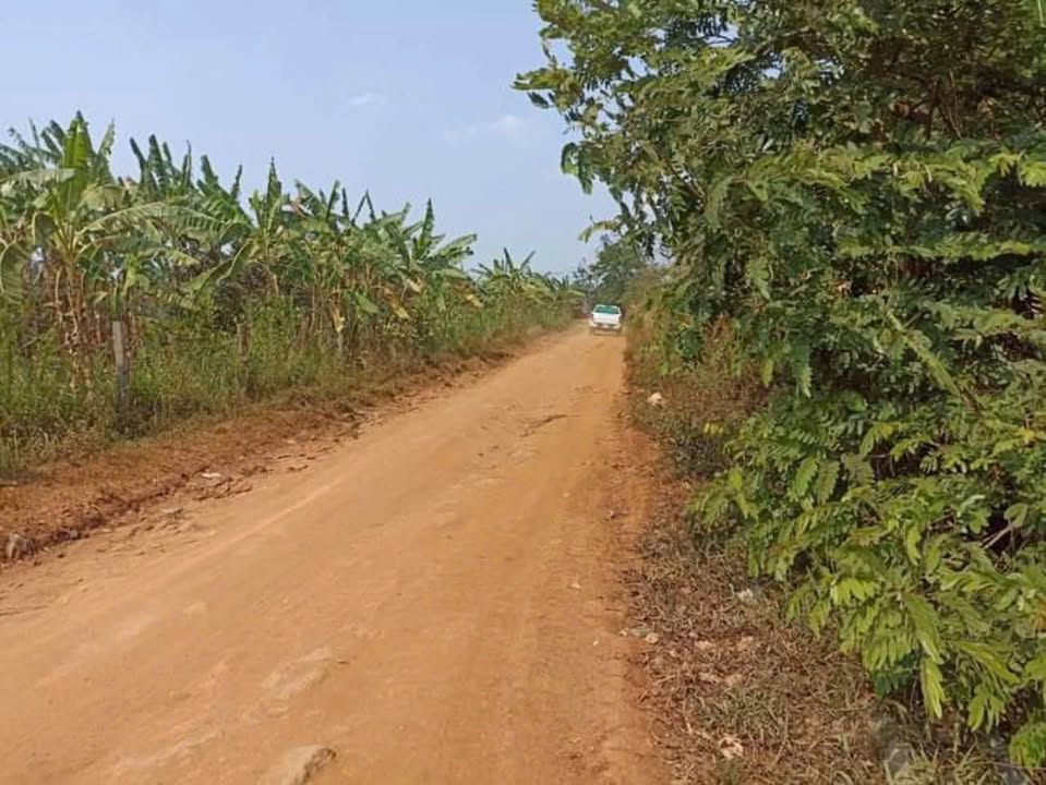 Đất nông nghiệp 6,7 sào tại Dliê Yang, Ea H'leo, Đắk Lắk - Chỉ 490 triệu