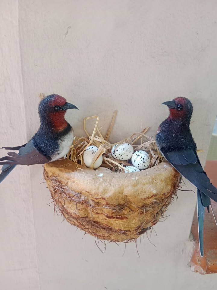 Đất nền Tân Long Hội 896m² giá 300 triệu - Thích hợp xây nhà và làm vườn!