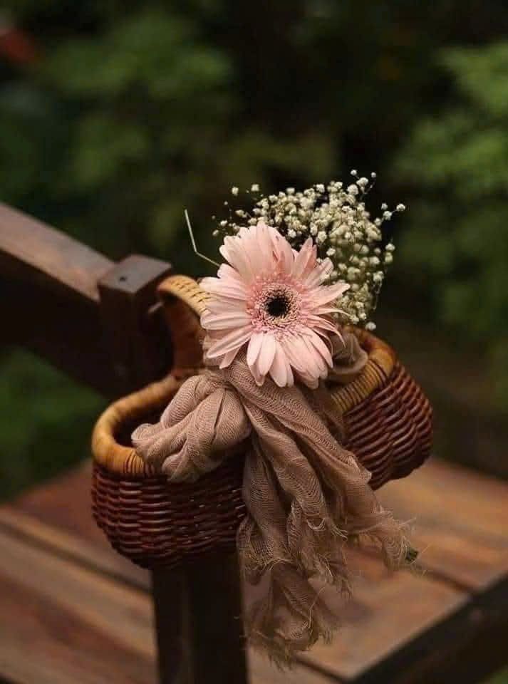 Đất nền 130m² xã Tiến Lợi, Phan Thiết chỉ 150 triệu - Cơ hội đầu tư tuyệt vời!