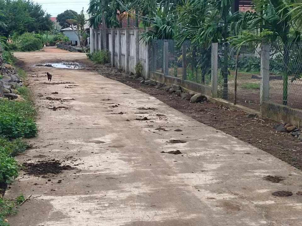 Đất vườn Bình Phú - Bình Sơn 320m² giá thỏa thuận - Gần biển An Sen!