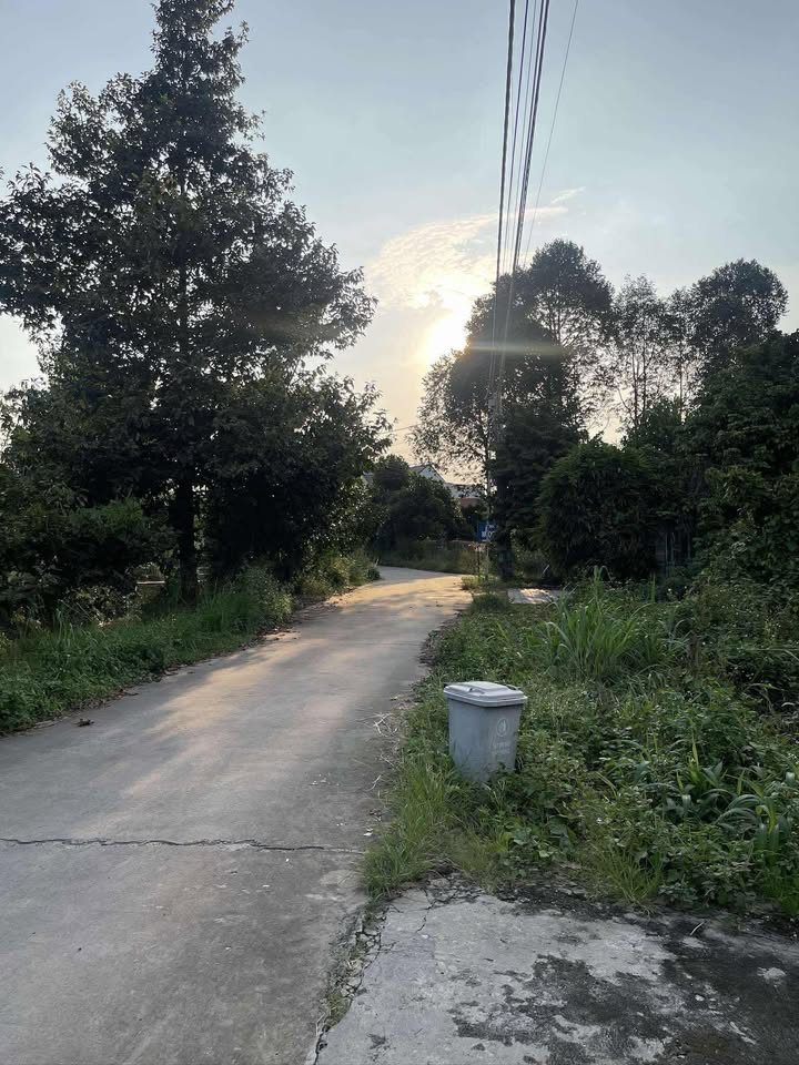 Nhà riêng Long Thành 247.5m² giá 3 tỷ - Nhà mới chỉ việc dọn vào ở!