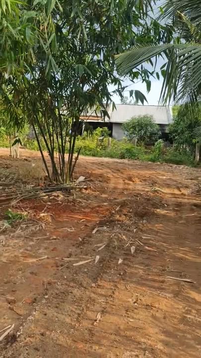 Đất thổ cư 2000m² tại Hàm Mỹ, Hàm Thuận Nam - Giá chỉ 1.25 tỷ, thương lượng