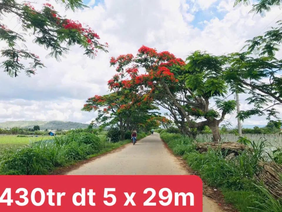 Đất thổ cư 145m² tại đường Hàng Phượng, Đơn Dương - Chỉ 430 triệu!