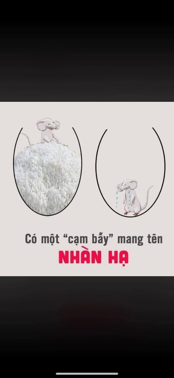 Nhà cấp 4 đường Bà Hom, Quận 6, 48m² giá 6.1 tỷ - Bán gấp, tặng nhà!