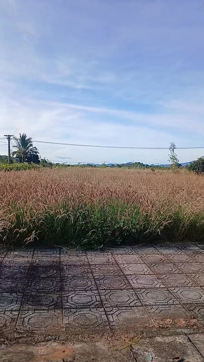 Đất thổ cư Tân Lập A, Đắk Hà, 408m² giá 1 tỷ - Cơ hội đầu tư hấp dẫn!