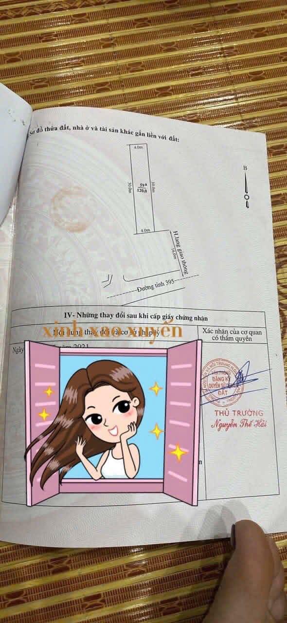 Lô đất mặt đường 395 xã Tân Tiến 120m² giá thỏa thuận - Vị trí vàng kinh doanh!