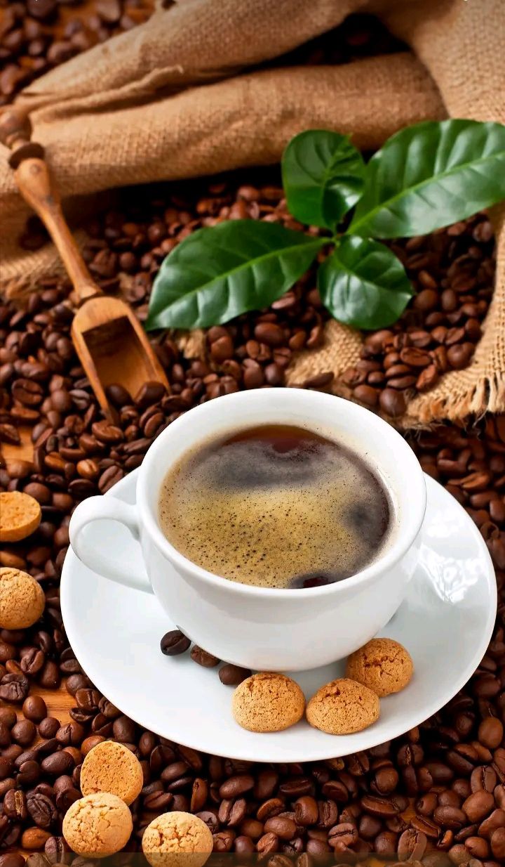 Đất nền đường Mỹ Đa Đông 8, Ngũ Hành Sơn, 142m² - Phù hợp xây căn hộ, giá chỉ 1x tỷ!