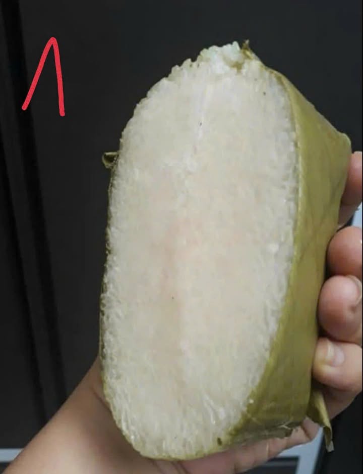 Cho thuê nhà phố tại Gò Vấp 140m² giá từ 120 triệu - Đầu tư sinh lời ngay!