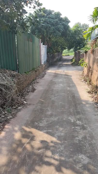 Đất thổ cư Thái Đào Lạng Giang 123m² giá 8xx triệu - Chính chủ bán gấp!