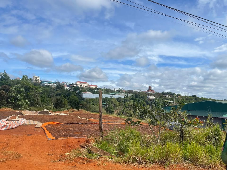 Đất nền Nhân Cơ Đắk Nông 234m² giá 900 triệu - Sổ đỏ chính chủ, bớt lộc