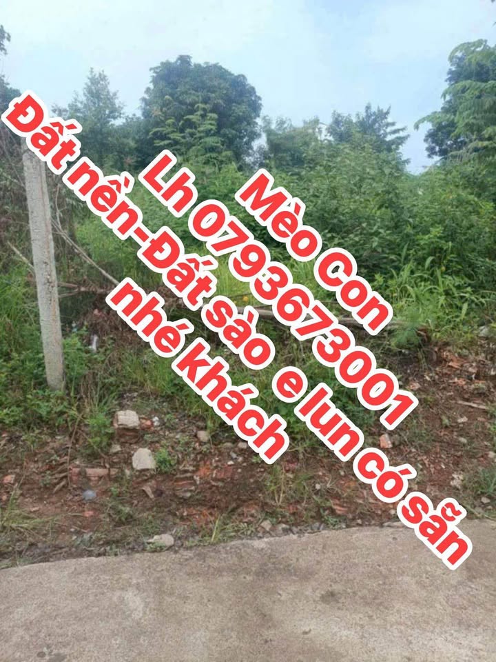 Đất nền Hòa Khánh 140m² giá 850 triệu - Chính chủ bán gấp!