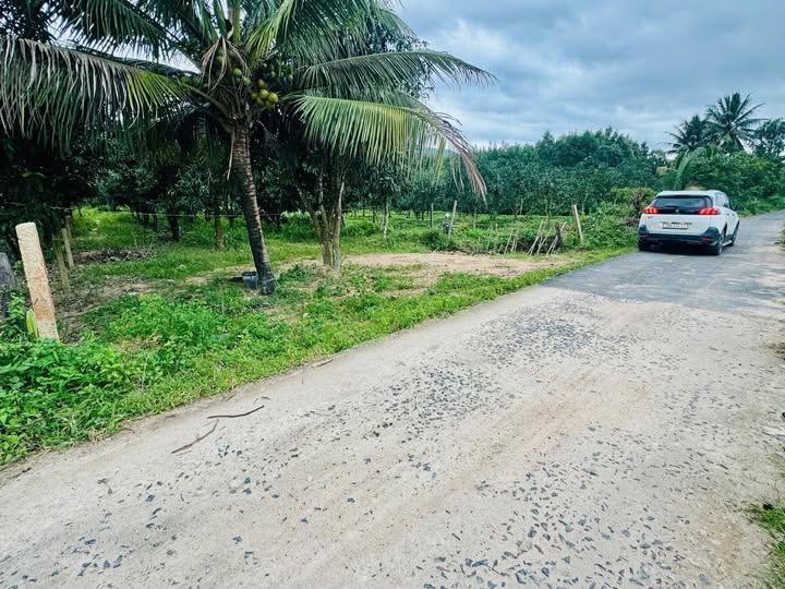 Đất nền Suối Dầu, Cam Lâm 1950m² giá 3.31 tỷ - Đầu tư sinh lời cao!