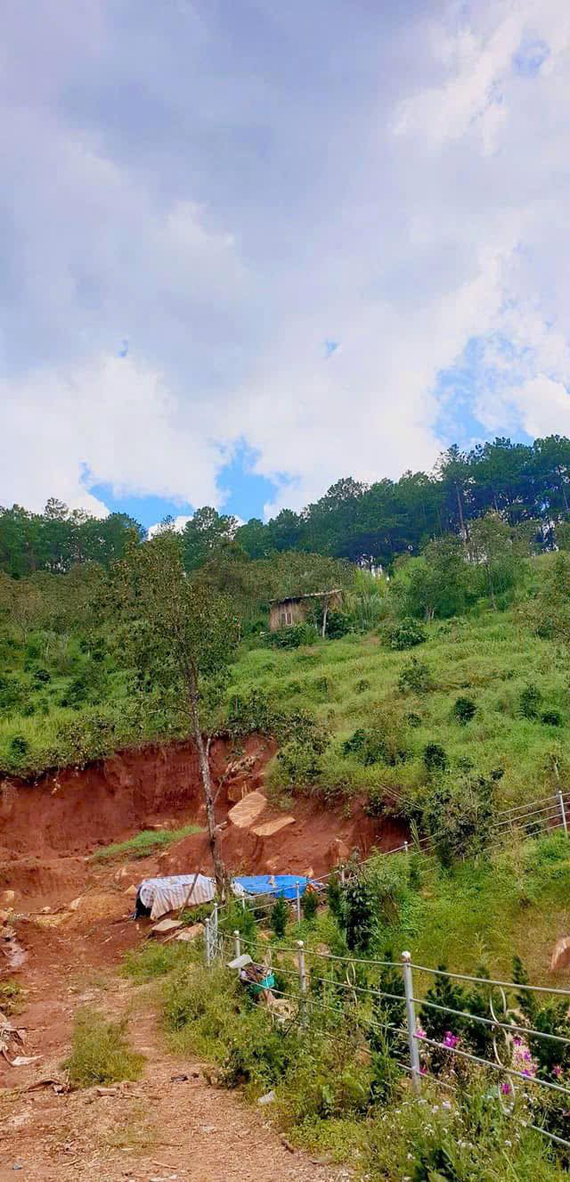 Đất nông nghiệp Cam Ly, Đà Lạt 1068m² giá 4.5 tỷ - Tiềm năng phát triển lớn!