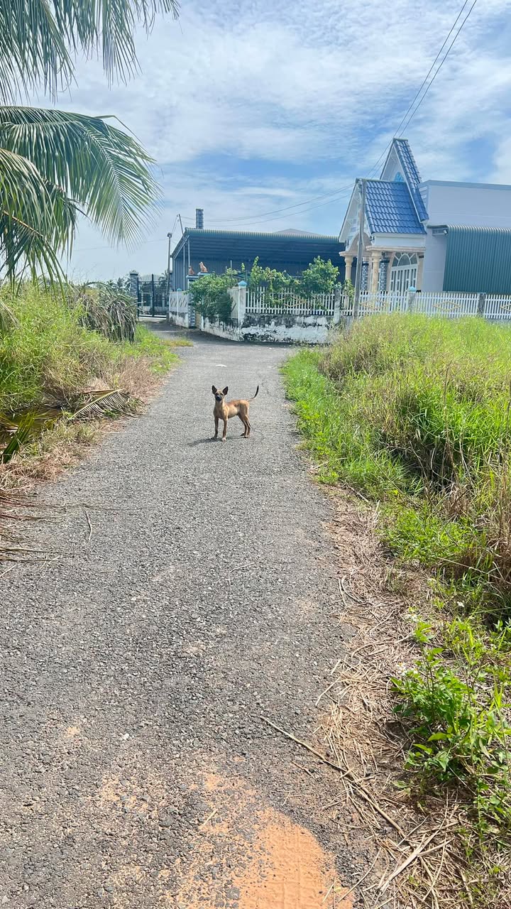 Đất thổ cư 300m² tại Hàm Hiệp - Gần hồ Cà Giang, chỉ 1.999 tỷ!