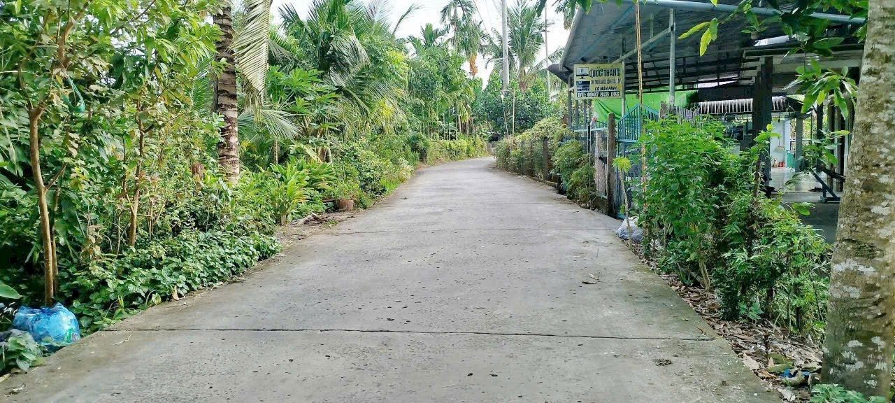 Đất nền Tân Thới, Phong Điền 92m² giá 400 triệu - Sổ hồng đầy đủ, ngay cạnh sông thoáng mát!