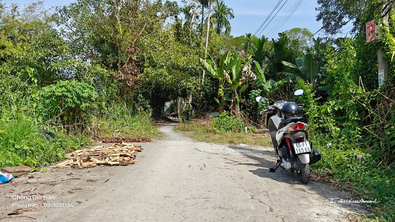 Đất nền Trường Long, Phong Điền, Cần Thơ 179m² giá 350 triệu - Sổ hồng chính chủ!