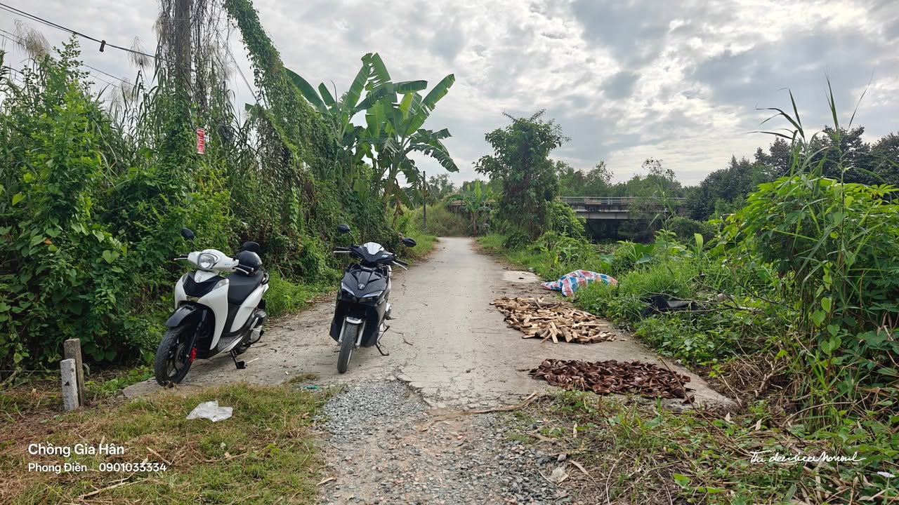 Đất nền Trường Long, Phong Điền 179m² giá 350 triệu - Khu vực mát mẻ, dễ dàng tiếp cận!