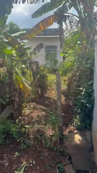 Đất nền thôn 5 xã Ea Bar 360m² giá 795 triệu - Lô đất đẹp không khuyết điểm!