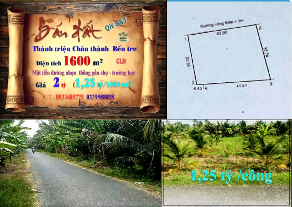 Đất nền Thành Triệu Châu Thành Bến Tre 1400m² giá chỉ 2 tỷ - Đầu tư sinh lời cao!