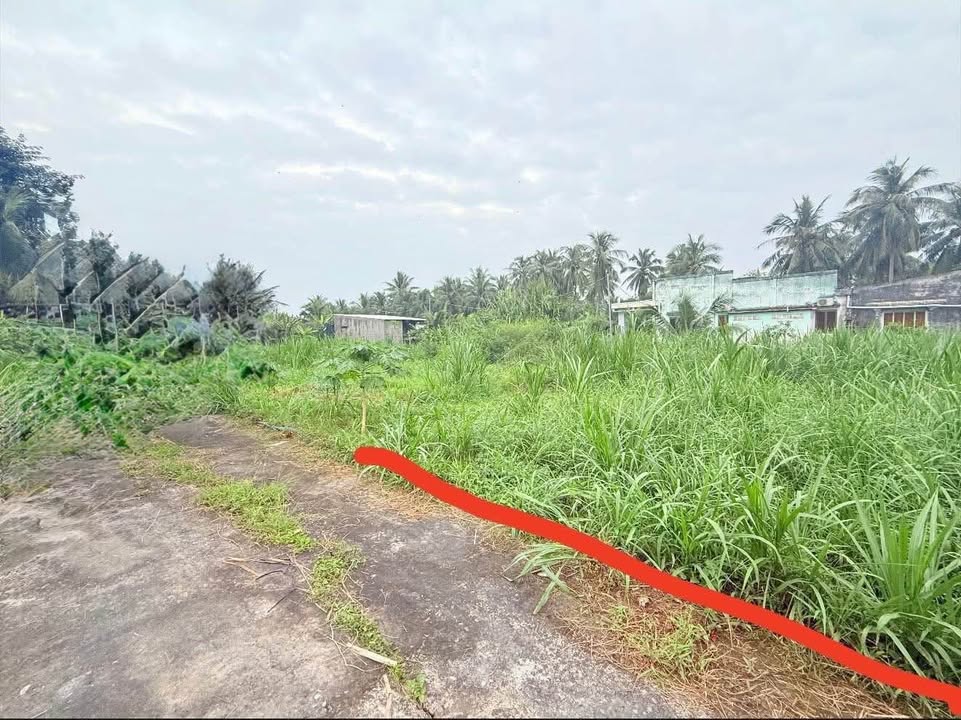 Đất nền Hữu Định, Châu Thành 506m² giá chỉ 650 triệu - Cơ hội đầu tư hấp dẫn!