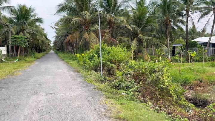 Bán vườn farm Tân Thới 4379m² giá 1.53 tỷ - Gần sông, có thổ cư