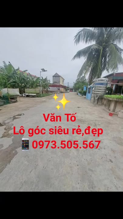 Đất nền Tứ Kỳ 100m² mặt tiền 5m - Đầu tư sinh lời ngay!