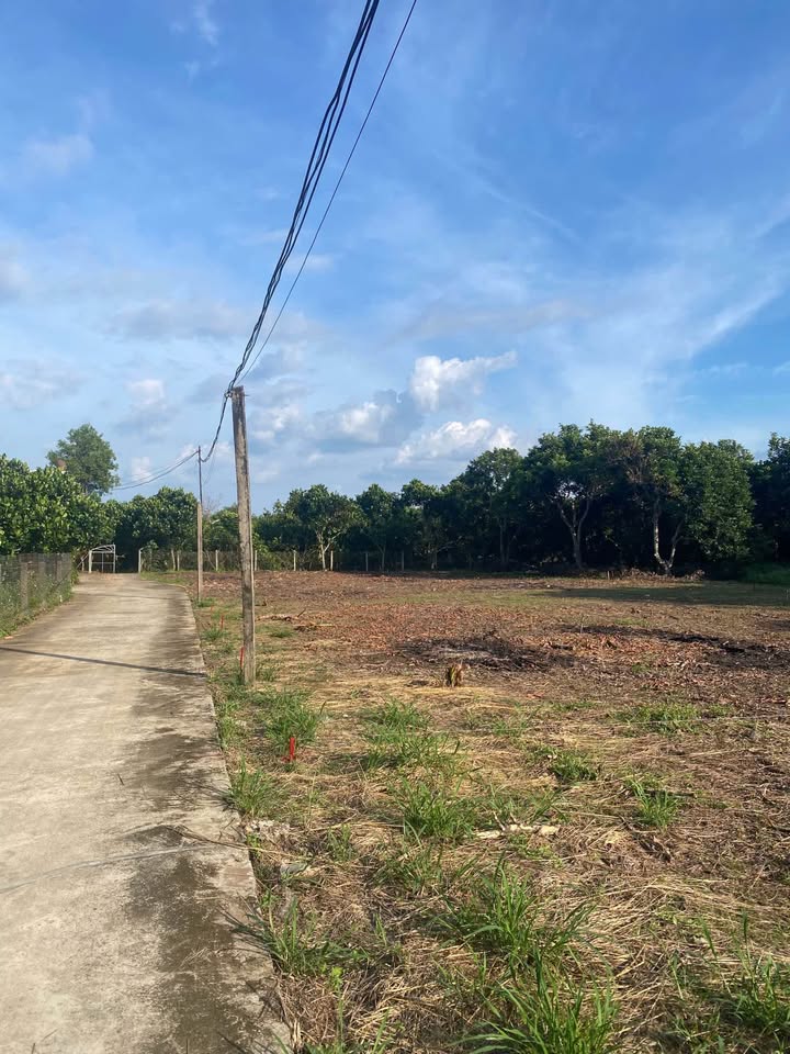 Đất nền Bình Lộc - Long Khánh 100m² chỉ 790 triệu - Đầu tư sinh lời ngay!