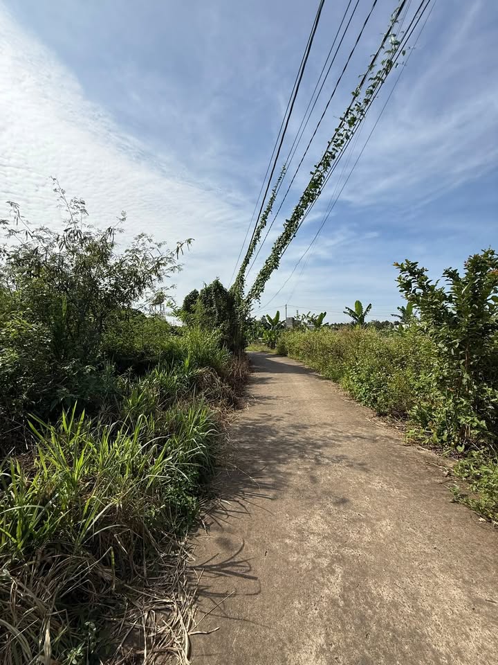 Đất nền xã Tân Phú 468m² giá 4.666 tỷ - Sổ hồng riêng, ô tô vào tận nơi!