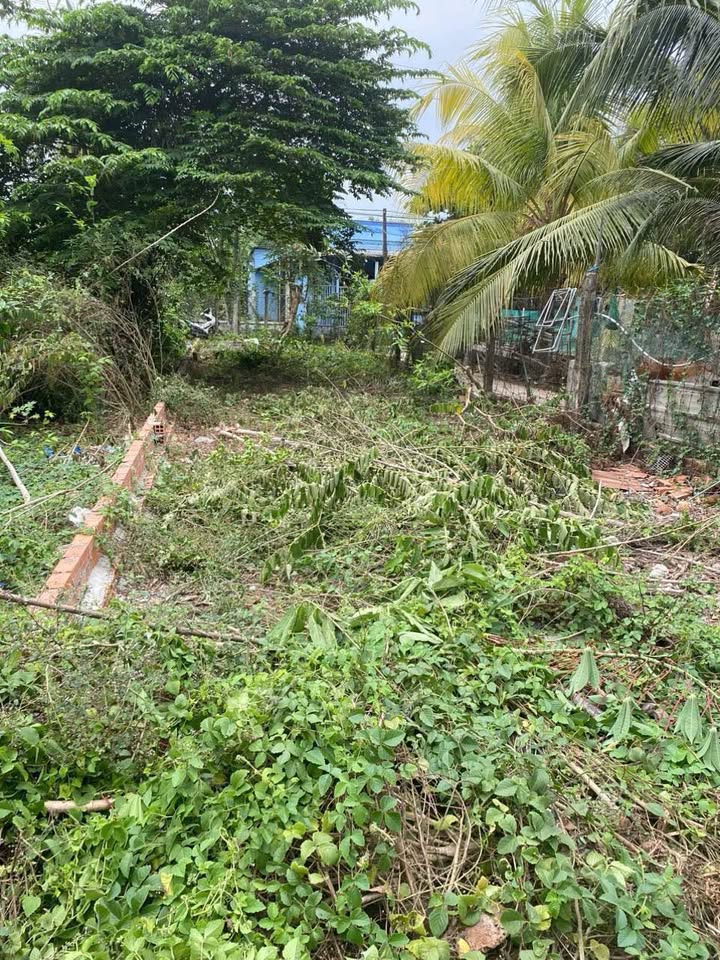 Đất nền đường ô tô Tân Hạnh Vĩnh Long 115m² giá 1.08 tỷ - Chính chủ bán gấp!