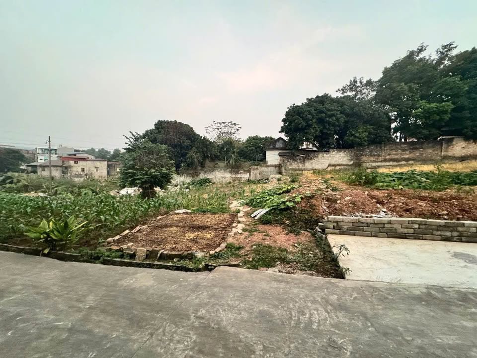 Đất thổ cư Phường Phan Đình Phùng, Thái Nguyên 210m² giá 3.599 tỷ - Mặt tiền rộng, không ngập lụt!