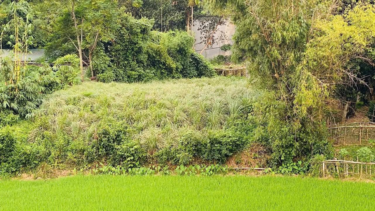 Đất nền phường Yên Quang, Hòa Bình 739m² giá thỏa thuận - Mặt tiền 20m, view cánh đồng thoáng đãng!