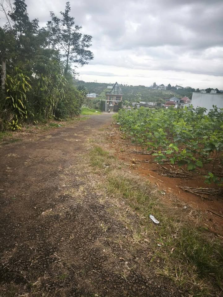 Đất nền Bảo Lộc 180m² giá 1.6 tỷ - Cơ hội đầu tư tuyệt vời!