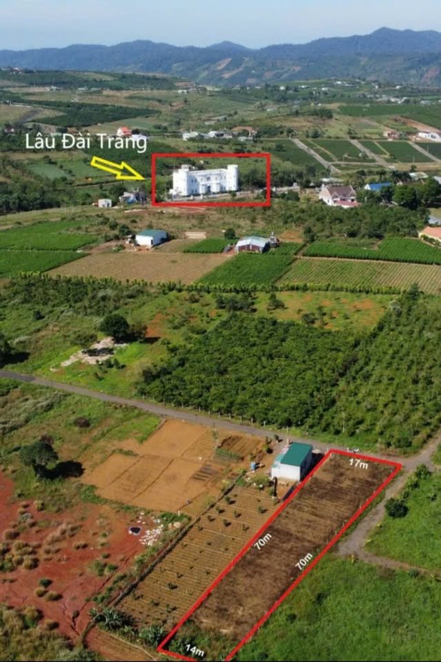 Đất thổ cư 200m² ngay Lâu Đại Trắng, Bảo Lộc 1030m² giá chỉ 2.5 tỷ - Cơ hội đầu tư tuyệt vời!