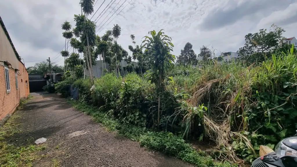 Đất nền Hẻm Hà Giang, Bảo Lộc 418m² giá chỉ 1.65 tỷ - Cơ hội đầu tư tuyệt vời!