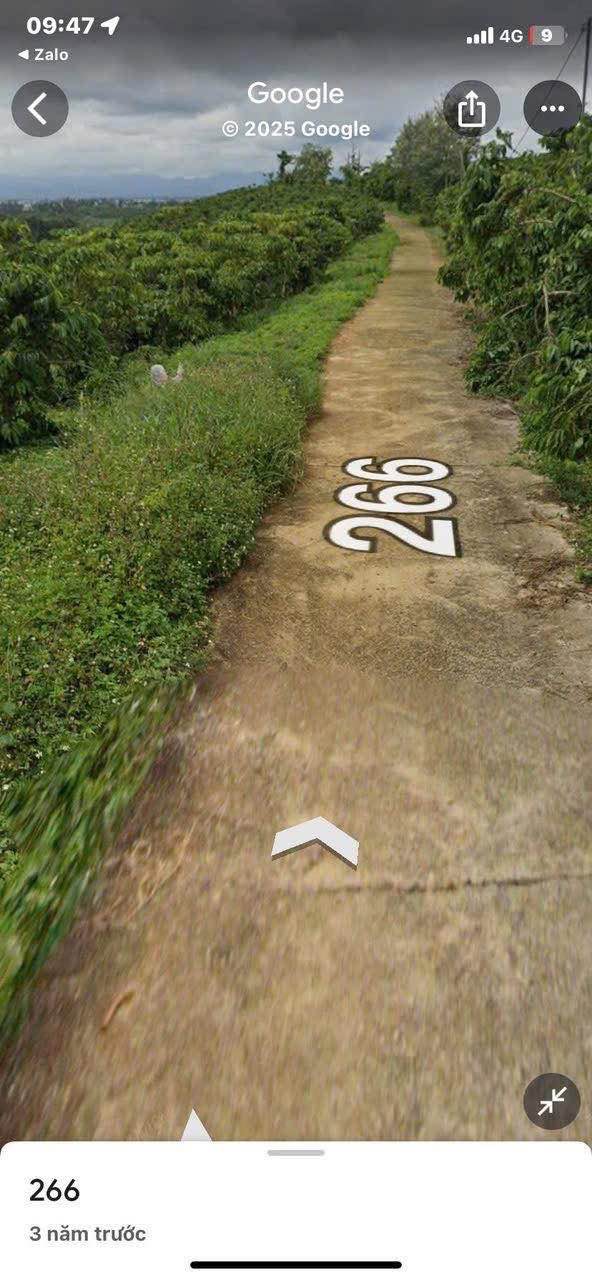 Đất nền Hẻm 266 Đoàn Thị Điểm Bảo Lộc 2200m² giá 2.55 tỷ - Mặt tiền bê tông rộng rãi!