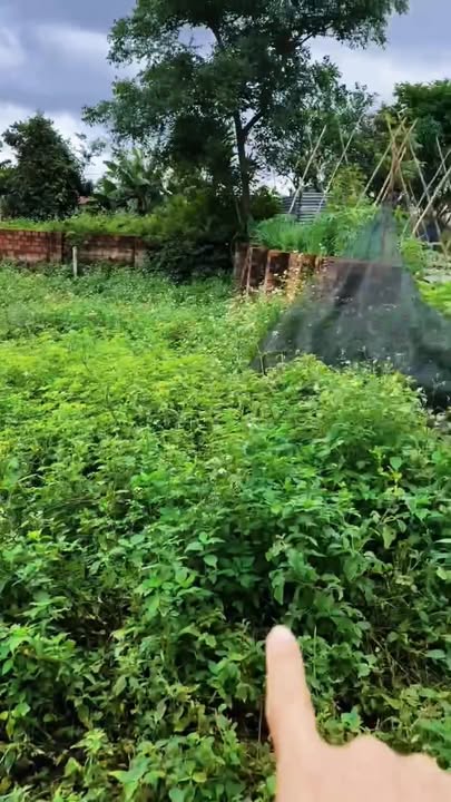 Đất nền An Phú, Pleiku 90m² giá chỉ 280 triệu - Cơ hội đầu tư hiếm có!