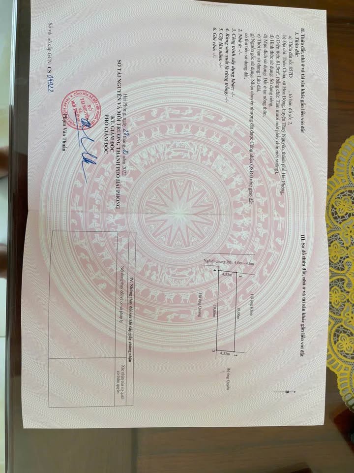 Đất thổ cư thôn Chùa, xã Hoa Động 81,9m² giá 2 tỷ - Đường ô tô vào tận nơi!