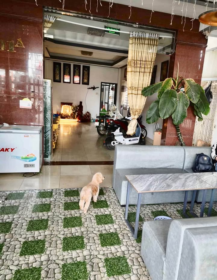 Nhà mặt tiền Trần Phú, Bảo Lộc 198m² giá 30 triệu - Tiềm năng kinh doanh vượt trội!