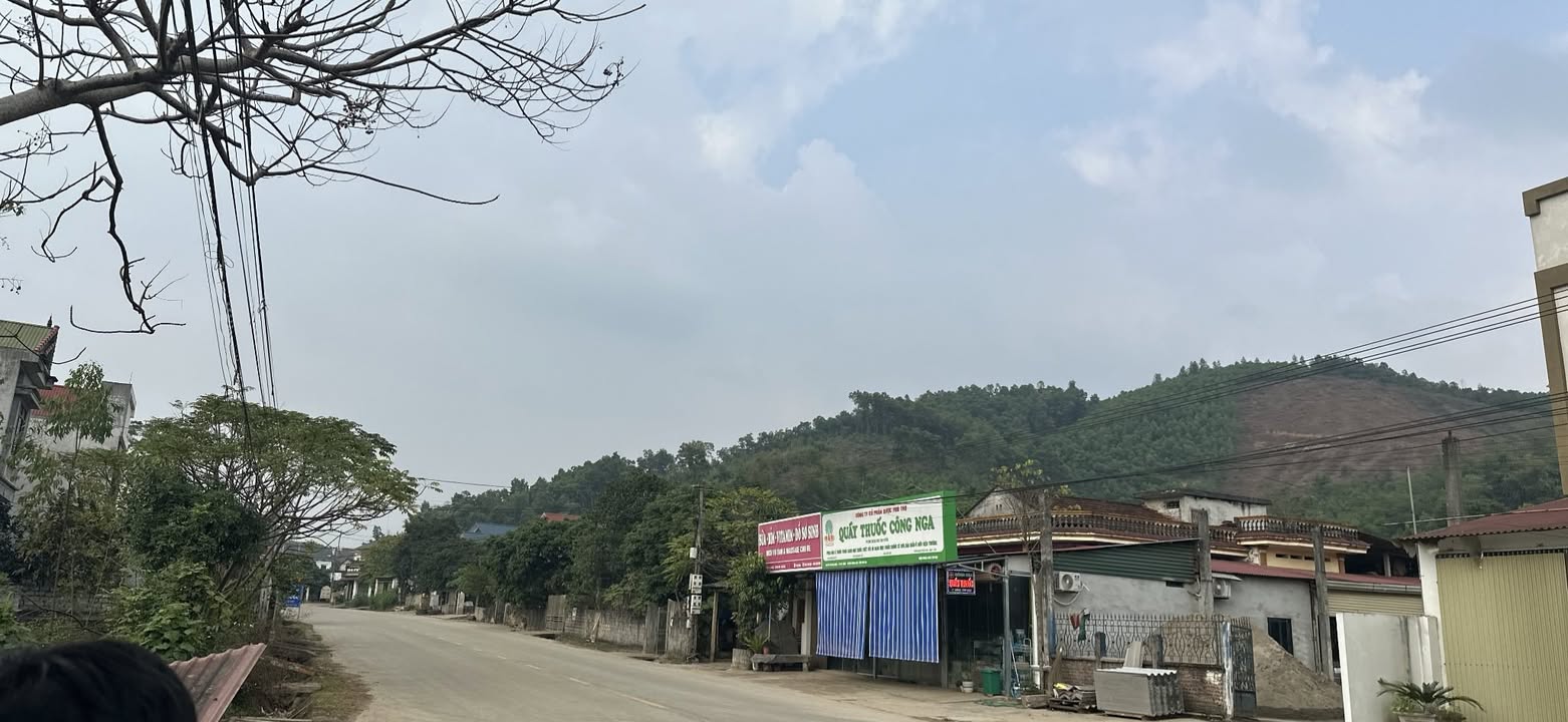 Đất đô thị 317m² tại thị trấn Thanh Sơn, Phú Thọ - Giá đầu tư chỉ 1.9 tỷ!