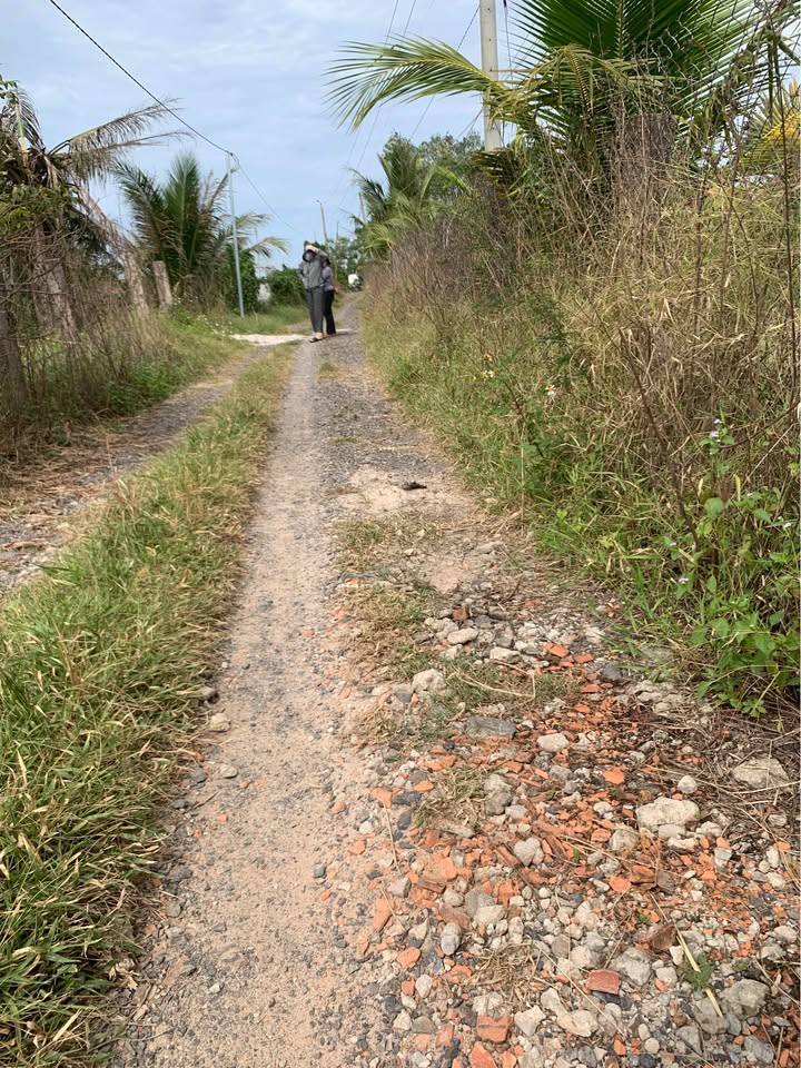 Đất nền thôn Hồng Sơn, Hàm Thuận Bắc 60000m² giá 1.5 tỷ - Mặt tiền đường rộng rãi!