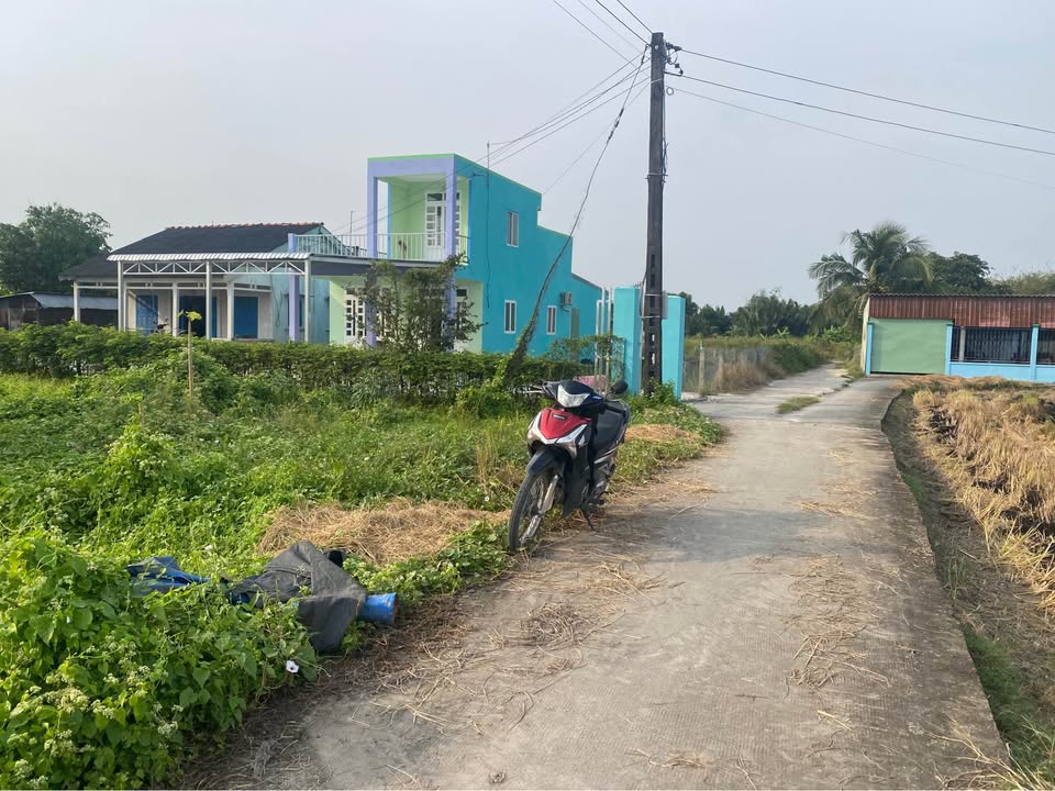 Đất thổ cư mặt tiền Đan, Mỹ Thạnh, Tân Trụ 137.5m² chỉ 579 triệu - Cơ hội đầu tư tuyệt vời!