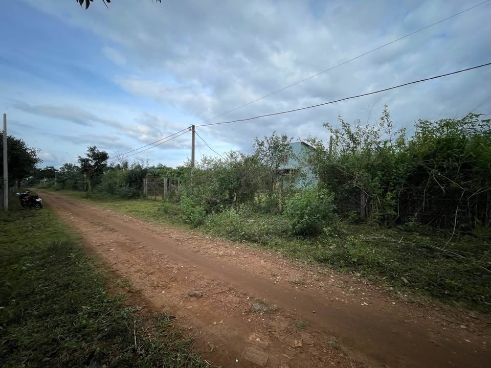 Lô đất 3 mặt tiền Hẻm 56 Trường Sa, P. Diên Hồng, Gia Lai 3224m² - Tiềm năng phát triển cao!