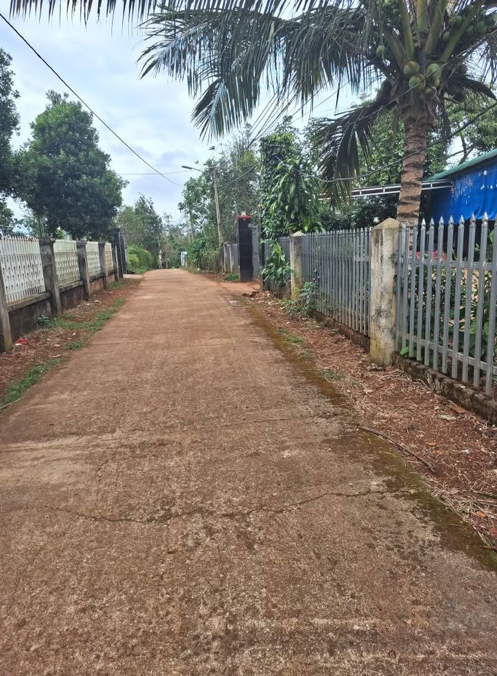 Đất nền Đức Mạnh 228m² giá 620 triệu - Khu dân cư sầm uất!